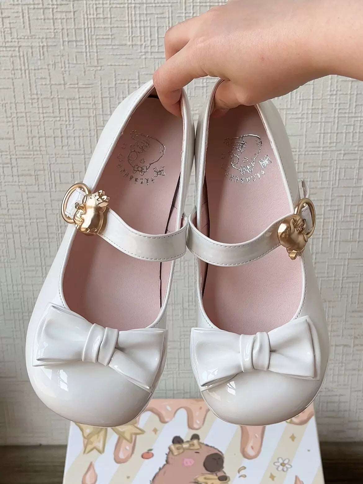 Capybara Lolita Low Heels Mary Jane Shoes - Image 4