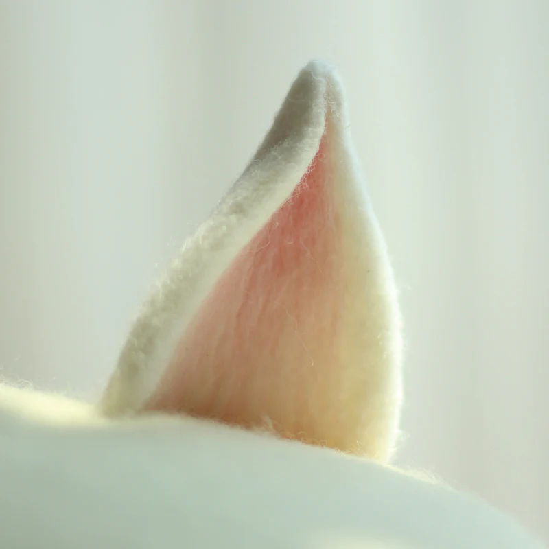 Cute Wool Fox Ears Beret Hat - Image 8
